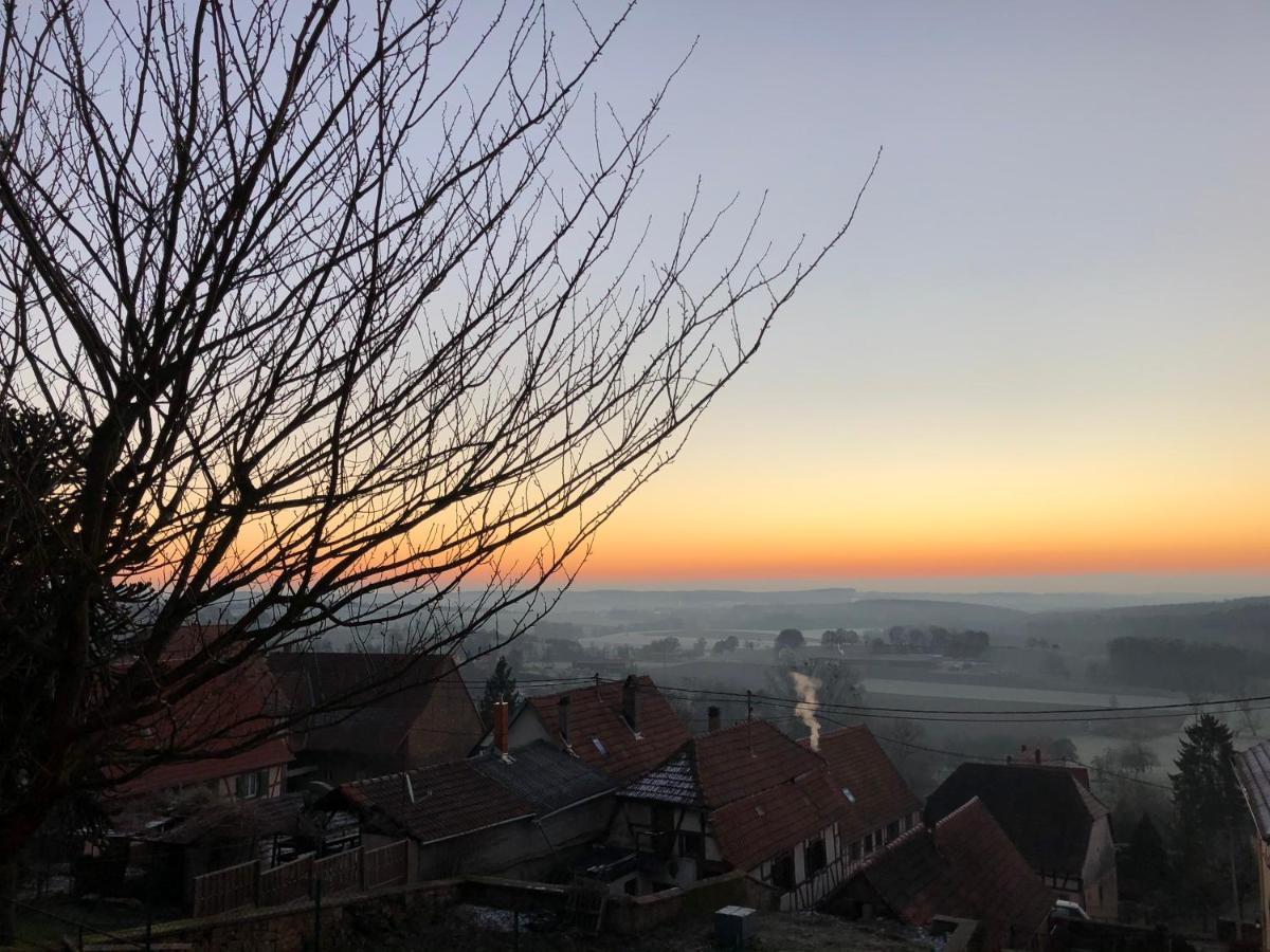 Gite L'Instant Durable Oberbronn 外观 照片