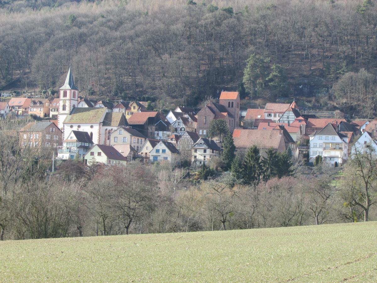Gite L'Instant Durable Oberbronn 外观 照片